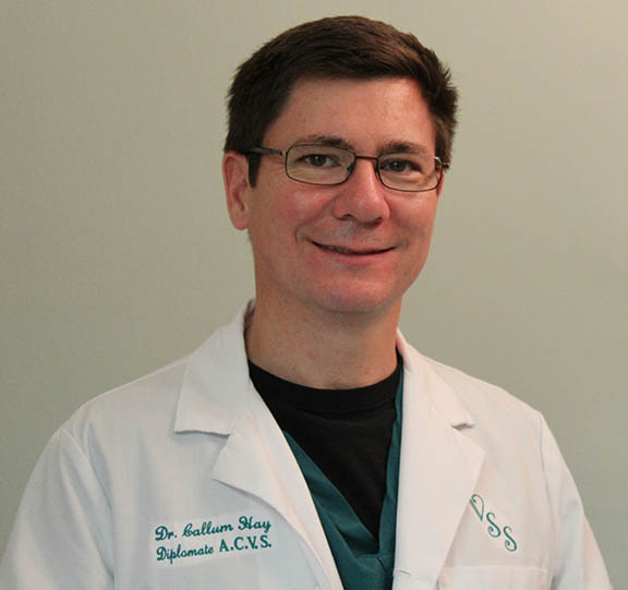 Veterinary Surgical Services of Tampa Bay