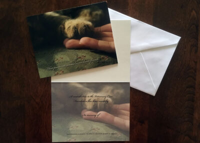 Cat Paw Sympathy Cards Pack of 50