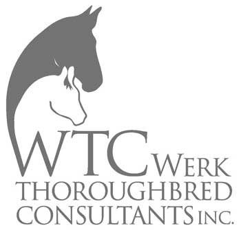 WTC Werk Thoroughbred Consultants Inc.