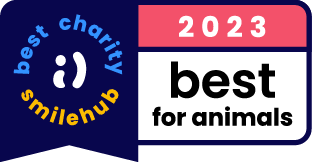 Best Charity for Animals
